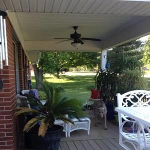 Meet your Posher, Diann